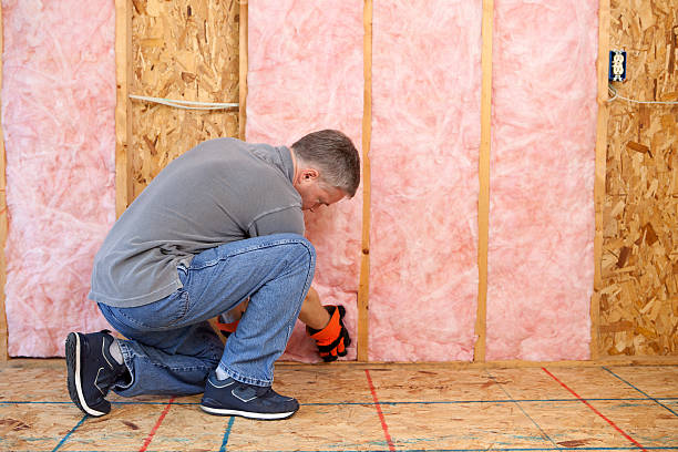 Best Specialized Insulation Services in Wurtland, KY