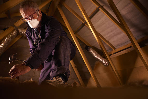 Best Insulation for Specific Applications in Wurtland, KY