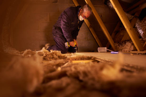 Professional Insulation Contractor in Wurtland, KY
